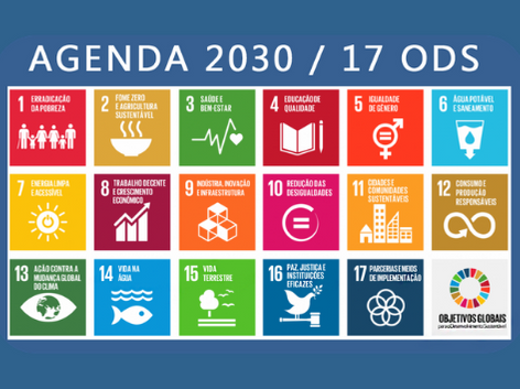 Agenda 2030: inscrições para o Módulo II do curso estão abertas até 1º de fevereiro