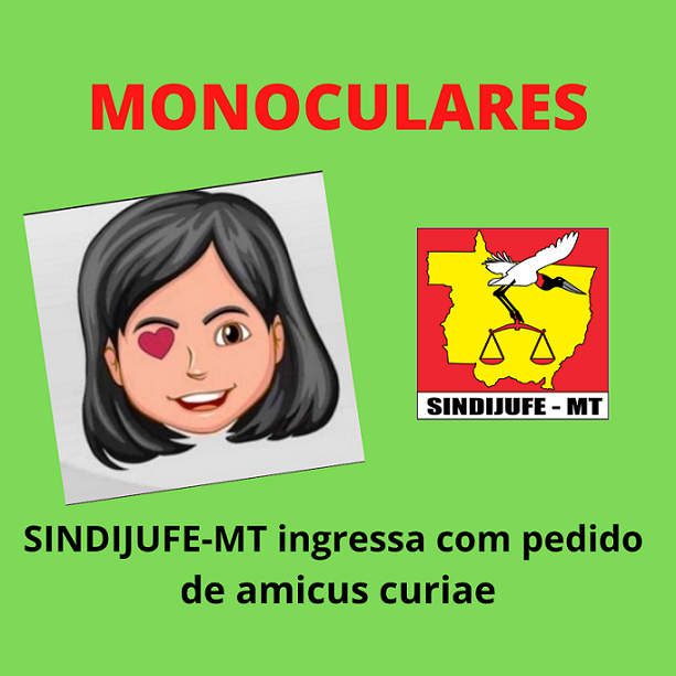 Sindijufe-MT acelera procedimentos para atuar como amicus curiae em defesa dos Servidores com visão monocular