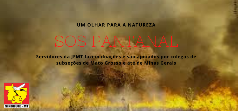 Vítimas dos incêndios no pantanal recebem ajuda dos Servidores da JFMT