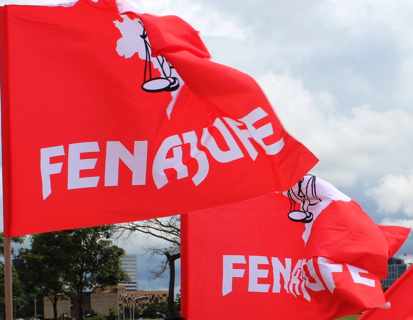 SPFs se mobilizam e fazem semana de luta em Brasília