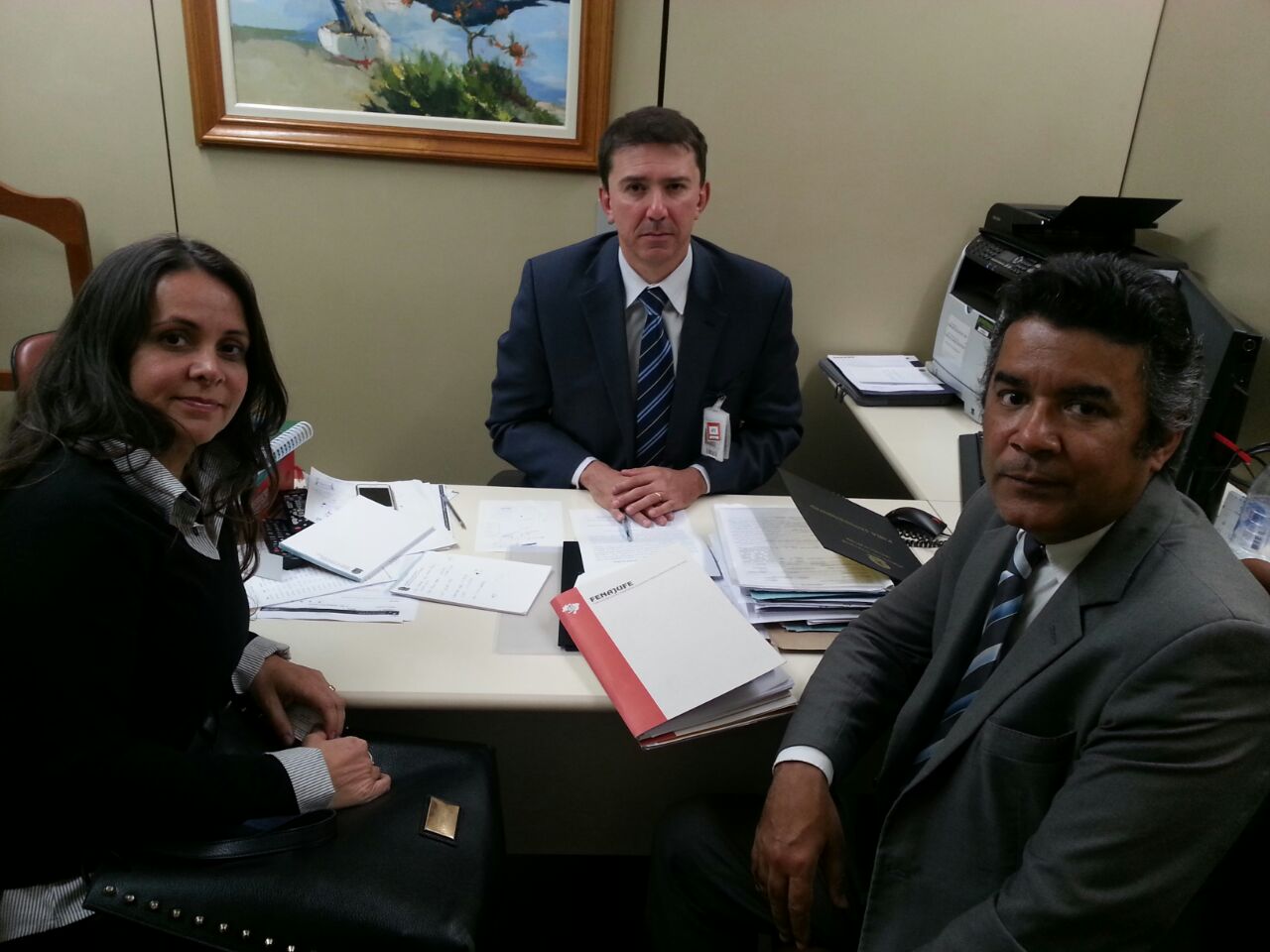 Fenajufe continua pressão pela aprovação do PLN 3/16