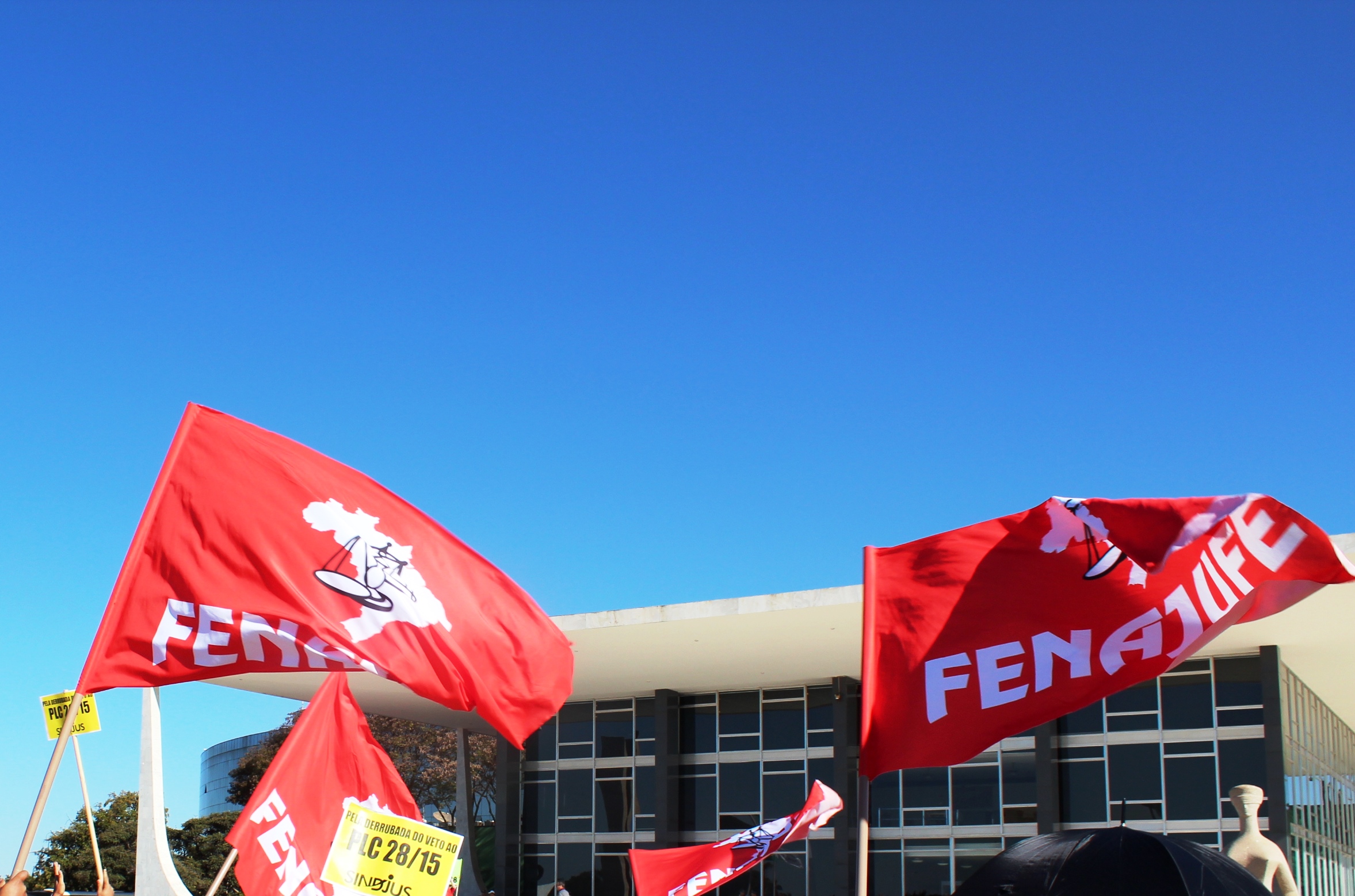 Projeto Memória recebe material até a quarta-feira, 7