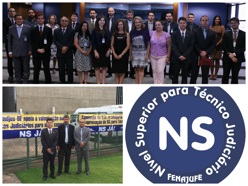 Trabalhos da Comissão Interdisciplinar do STF chegam ao fim