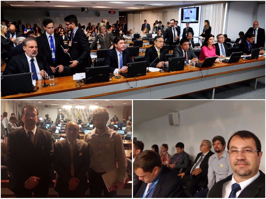 Pauta cheia na CCJ do Senado joga parecer do PLS 116 para semana que vem