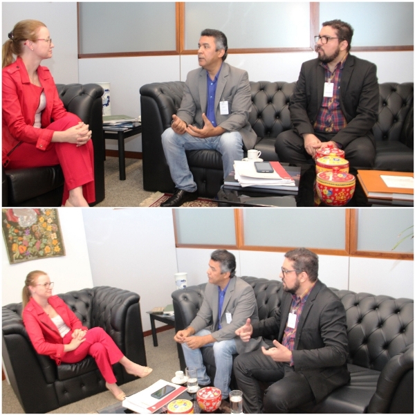 Fenajufe discute pauta prioritária dos servidores no CSJT e CJF