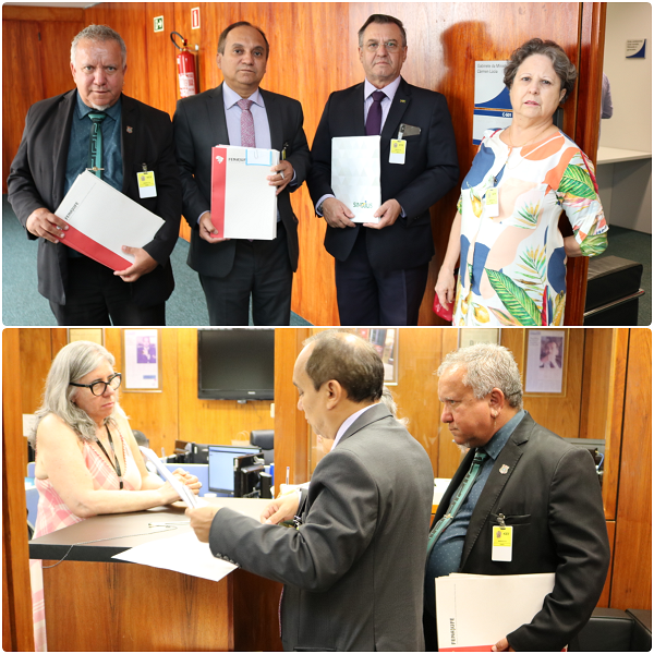 Fenajufe entrega memoriais em defesa dos Quintos no STF