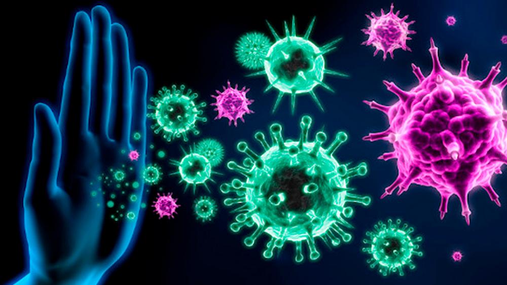 TRT4, TRF4 e JF somam 34 casos confirmados ou suspeitos de covid-19 entre servidores e servidoras; Sintrajufe/RS enviou pedido de informações a todos os órgãos