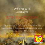 Vítimas dos incêndios no pantanal recebem ajuda dos Servidores da JFMT