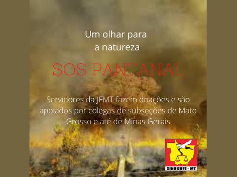Vítimas dos incêndios no pantanal recebem ajuda dos Servidores da JFMT