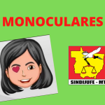 Sindijufe-MT acelera procedimentos para atuar como amicus curiae em defesa dos Servidores com visão monocular