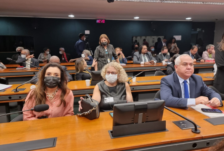 Recomposição salarial: em audiência pública Fenajufe critica governo e defende unidade na luta