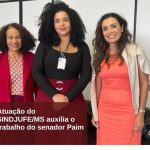 Atuação Do SINDJUFE/MS Auxilia O Senador Paulo Paim Na Revisão Do PL 662/2023