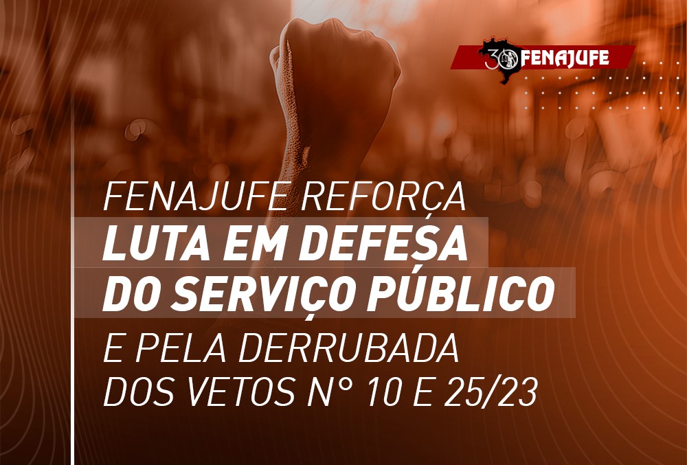 Fenajufe reforça luta em defesa do serviço público e orienta aos sindicatos a realizarem ações nos estados