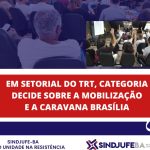 Em setorial do TRT, categoria indica paralisar no dia 8 seguindo orientação nacional pelo PCCS
