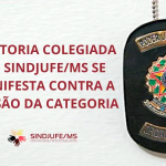 Diretoria Colegiada do SINDJUFE/MS se manifesta contra divisão da categoria