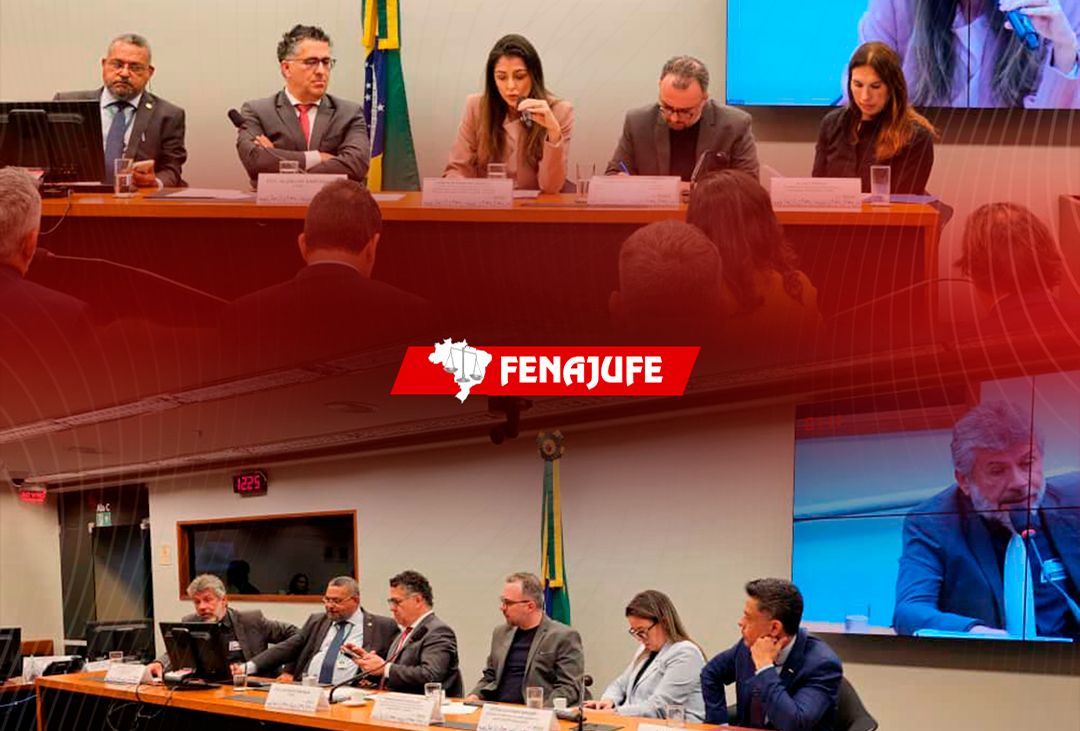 Fenajufe participa de debate na Câmara sobre as novas relações de trabalho e o papel do Judiciário